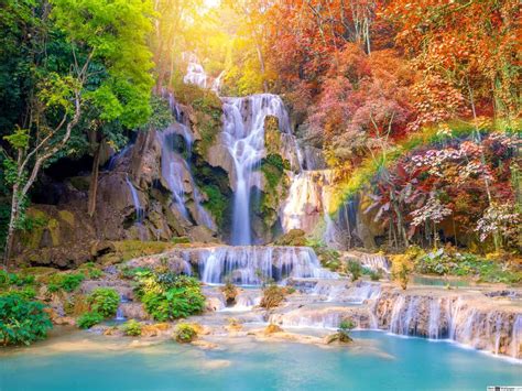 cascada en el bosque rompecabezas en línea