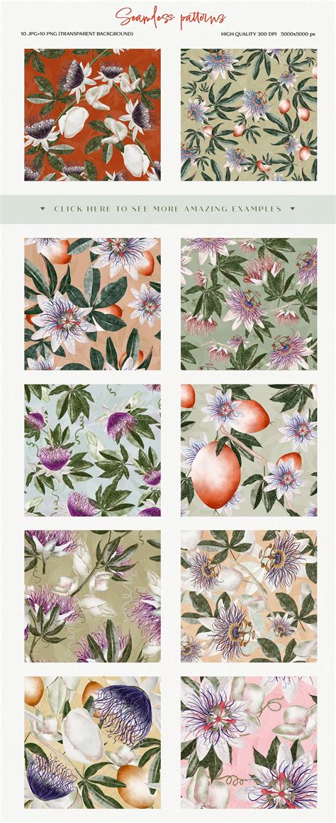 Watercolor Botanical Collection Passion Fruit Behance