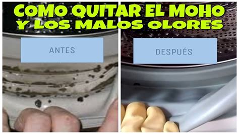 COMO QUITAR EL MOHO Y LOS MALOS OLORES DE TU LAVADORA EN 1 MINUTO CON