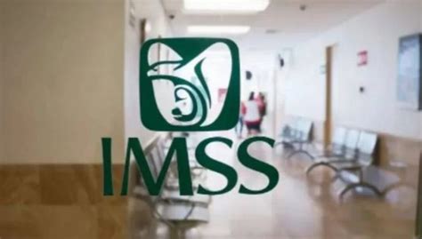 ¿cómo Registrarte A Imss Bienestar Y Tramitar Tu Credencial Para Tener