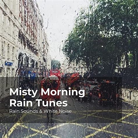 Play Misty Morning Rain Tunes By Rain Sounds And White Noise Raindrops