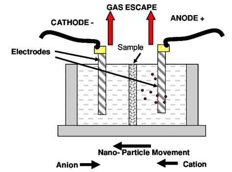 Schematic drawing of experimental cell. | Download Scientific Diagram