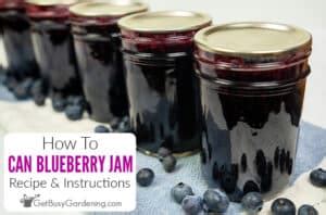 Canning Blueberry Jam Recipe Instructions