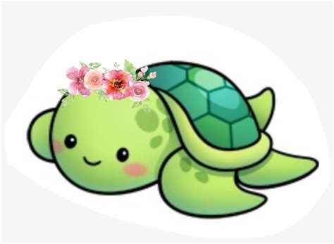 Cute Kawaii Turtle Cartoon