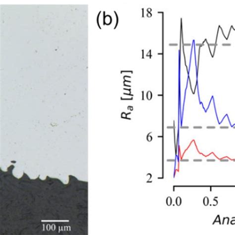 Surface Roughness Analysis A Cross Sectional Optical Image Of The