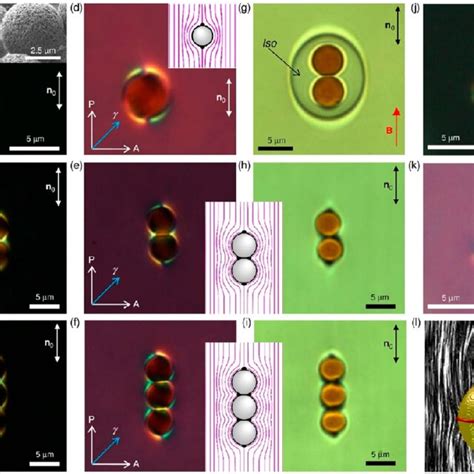 Spherical And Anisotropic Solid Particles A−i Textures Of Colloidal Download Scientific