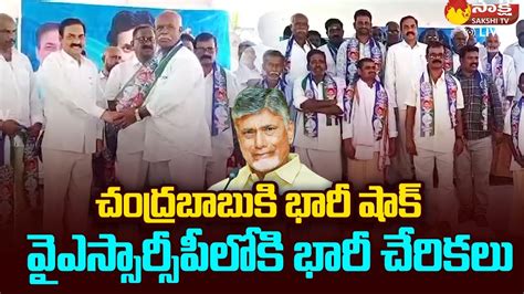 TDP Activities Joins YSRCP BIG Shock To Chandrababu Kakani