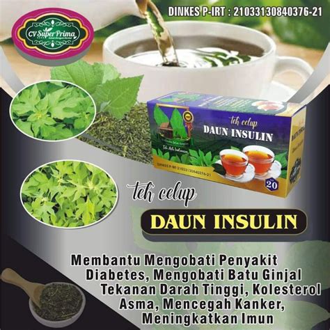 Jual Teh Celup Herbal Daun Insulin Obat Diabetes Anti Batu Ginjal