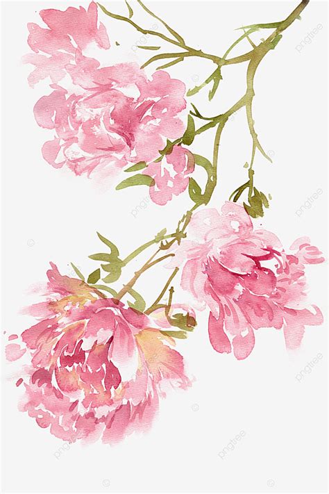 Pink Peony Flower Png Transparent Ink Pink Peony Flower Ink Ink