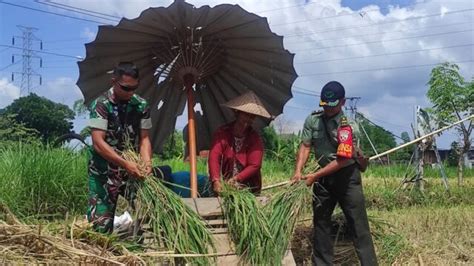 Dukung Ketahanan Pangan Nasional Dandim Klungkung Kerahkan