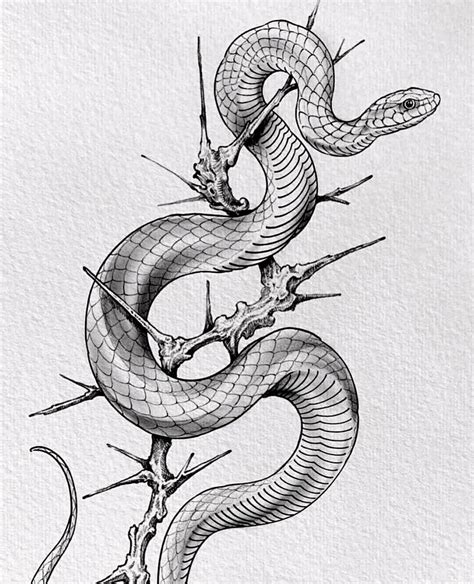 Pin By Ixchel Santacruz On Bocetos Snake Illustration Snake