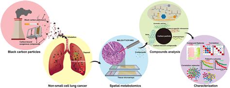 Lung Cancer Pathophysiology Hot Sex Picture