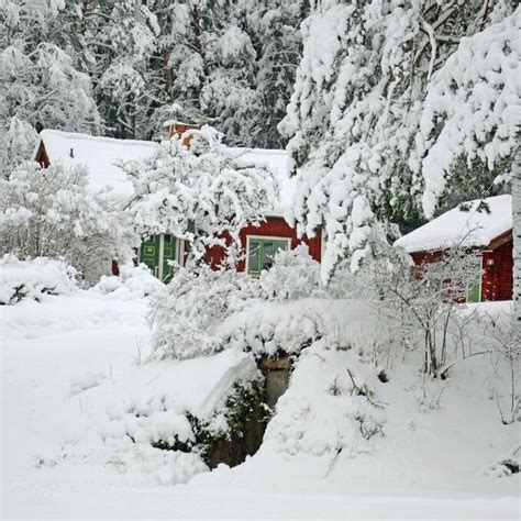 Winter in Sweden! | Winterlandschaft, Landschaft, Natur