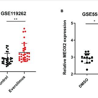 Expression Level Of MEOX2 Is Increased In Breast Cancer With Drug