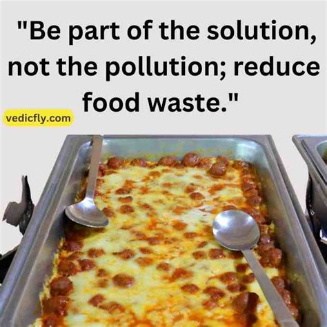 Saving The Planet, One Bite At A Time: 80+ Memorable Don't Waste Food ...