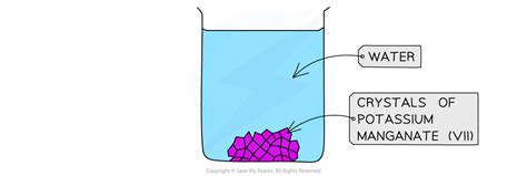 Edexcel Igcse Biology 复习笔记 112 Diffusion And Dilution 翰林国际教育