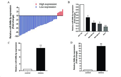 MiR 548b 3p Expression Is Down Regulated In BC Tissues And Cells A