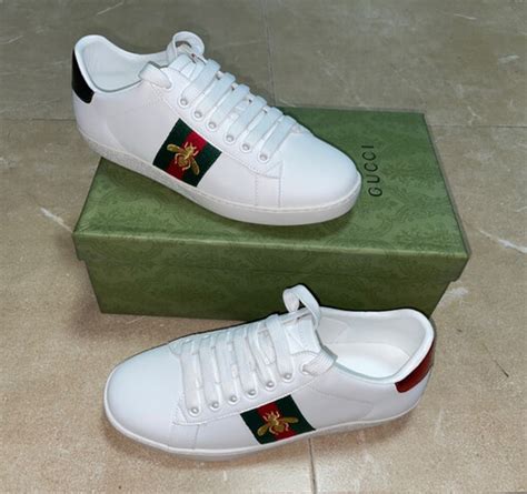 Venta Tenis Gucci Hombre Precio En Stock