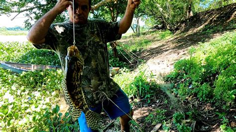 Pesca Con Anzuelo Y Lombriz Modesto Pesca Un Guapote Jaguar Youtube