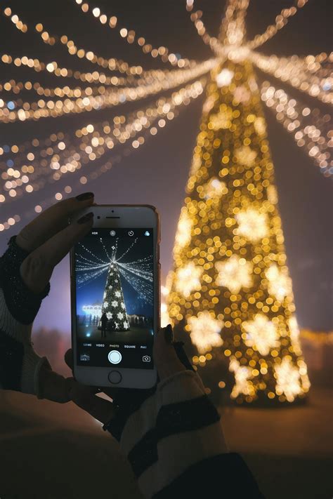 December Photos, Download The BEST Free December Stock Photos & HD Images