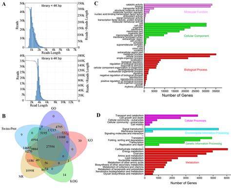 Analysis And Functional Annotation Of Full Length Transcriptome Data