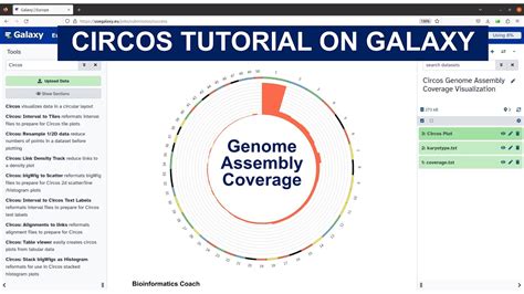 Galaxy For Bioinformatics Circos Tutorial Genome Assembly Coverage Youtube