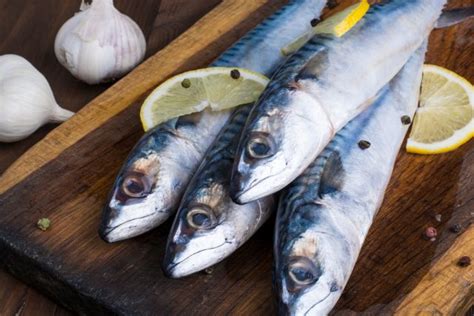 Sardines Vs Mackerel Complete Comparison Weigh School