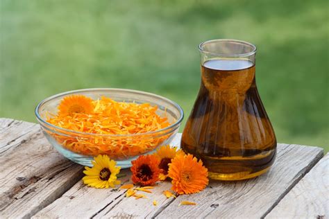 Huile De Calendula Bienfaits Composition Diy Et Utilisations