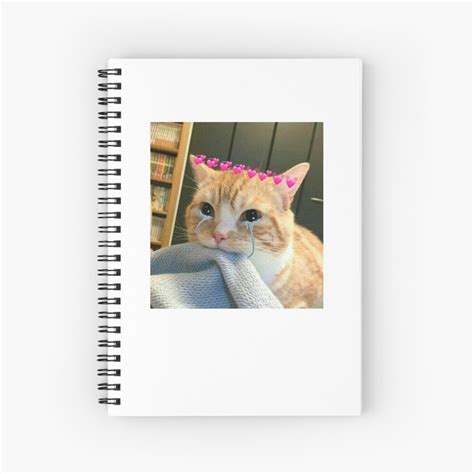 Sad Cat Meme Spiral Notebook For Sale By Hannah081999 Redbubble