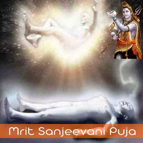 Mrit Sanjeevani Puja Astroyog Best Astrologer In Delhi And India