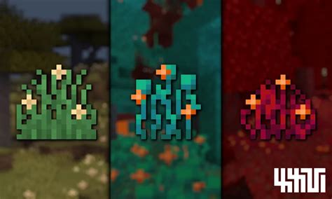 Xxvi S Flowering Grass And Roots For Minecraft Pocket Edition 1 19