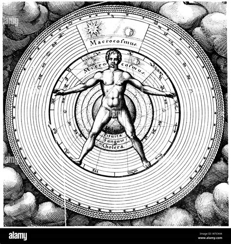 Diagram Showing Man S Position In The Universe Artist Robert