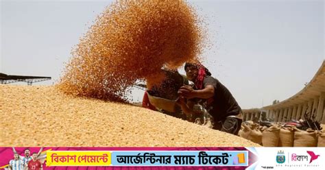 India Imposes Wheat Stock Limit To Arrest Price Rise The Daily Star