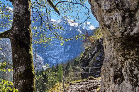 Oberbayern K Nigssee Von Salet Zur Fischunkelalm Am Obersee