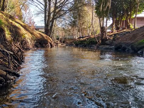 Quiet city stream. Corvallis, OR : r/pics