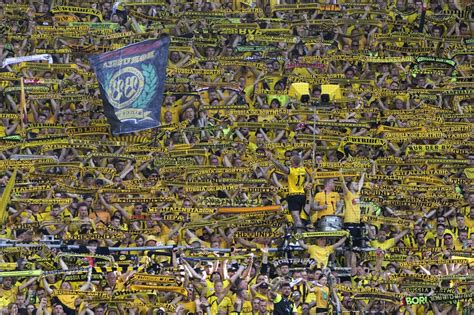 Newspascani Pa Cani T Rgu Frumos Ia I Borussia Dortmund