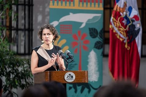 Análisis De Maisa Rojas Ministerio Del Medio Ambiente