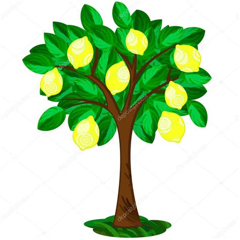 Estilizado Planta Símbolo Frutas Limón Imagen Vectorial de Mjak