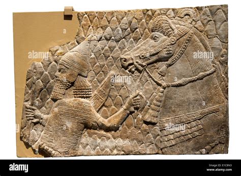 Sennacherib Horse Immagini E Fotografie Stock Ad Alta Risoluzione Alamy