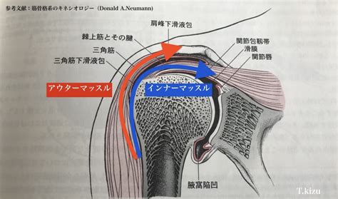 肩関節周囲炎五十肩四十肩KIZU式施術法 KIZUカイロプラクティック整体本院