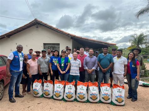 Governo De Goiás Doa Sementes De Milho Para Agricultores Do Norte E