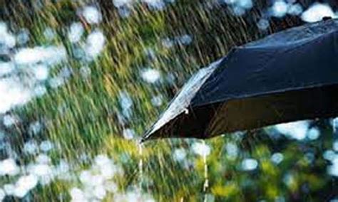 Light To Moderate Rain Likely Over Country News