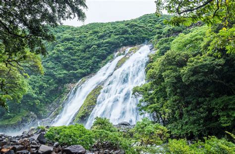 15 Best Things to Do in Yakushima (Japan) - The Crazy Tourist