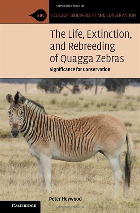 The Life Extinction And Rebreeding Of Quagga Zebras Significance For