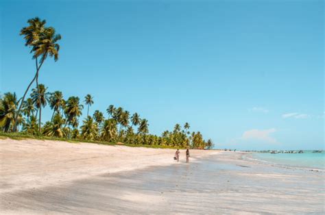 Melhores Praias De Alagoas Top Fotos E Mapa