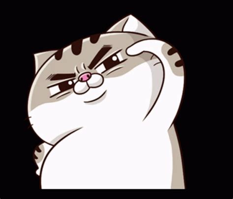 Ami Fat Cat Fgcat Ami Fat Cat Fgcat Salute Discover Share Gifs