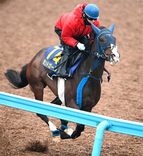 【nhkマイルc】ボンドガール 武豊の手腕に託す 手塚師期待「前走よりいいパフォーマンスに」 2024年5月2日掲載 ライブドアニュース