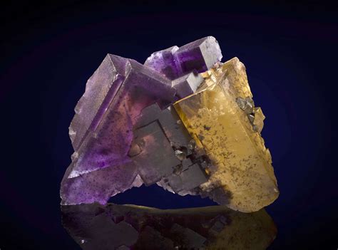 Fluorite Yellow And Purple Duo DEN13 1014 Minerva 1 Mine USA