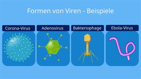 Viren Aufbau Formen Vermehrung Mit Video