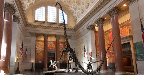 Member Evening Hours: Exclusive Access to the Museum | AMNH